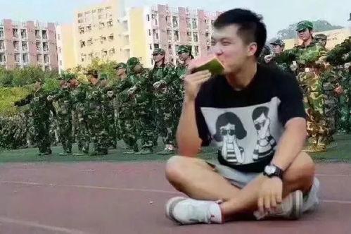 何欢吃瓜群众,吃瓜群众的视角，揭秘娱乐圈风云