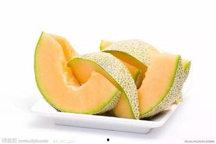 燕子吃哈密瓜,自然界的智慧碰撞