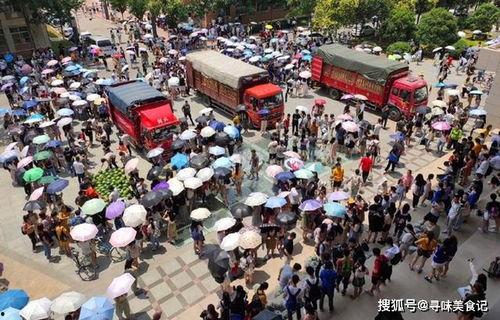 吃瓜打卡地大货车,揭秘大货车背后的故事