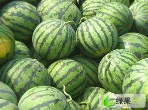 京城朝堂吃瓜48,揭秘吃瓜群众背后的故事