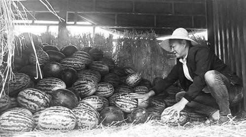 元江桥吃瓜群众,见证历史瞬间