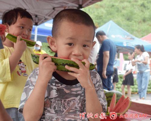 上朝吃瓜23,揭秘23年宫廷瓜田背后的权力博弈