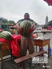 强势吃瓜全文,揭秘娱乐圈背后的真相与风波