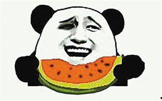 吃瓜吃什么意思,揭秘“吃瓜”背后的趣味与内涵